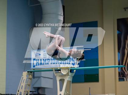 Thumbnail 1 in 3A Dive Championship photogallery.