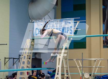 Thumbnail 1 in 3A Dive Championship photogallery.