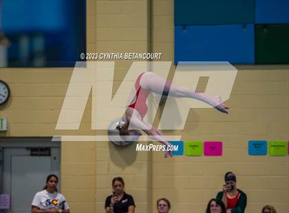 Thumbnail 2 in 3A Dive Championship photogallery.