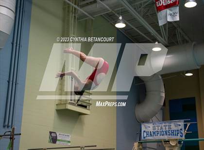 Thumbnail 3 in 3A Dive Championship photogallery.