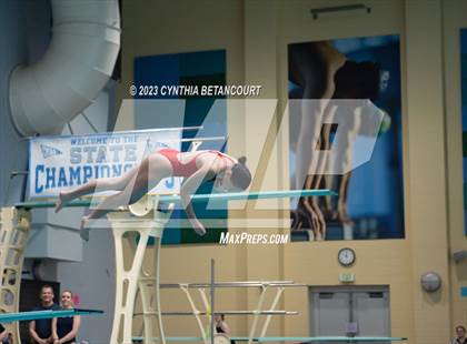 Thumbnail 3 in 3A Dive Championship photogallery.