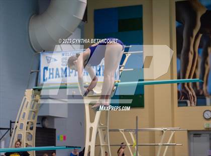 Thumbnail 1 in 3A Dive Championship photogallery.
