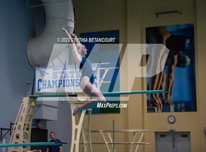 Thumbnail 1 in 3A Dive Championship photogallery.