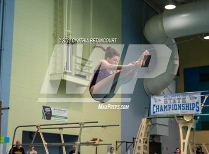 Thumbnail 3 in 3A Dive Championship photogallery.