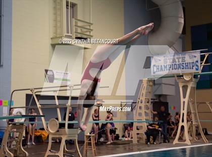 Thumbnail 3 in 3A Dive Championship photogallery.