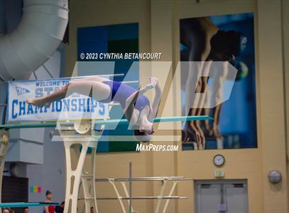 Thumbnail 2 in 3A Dive Championship photogallery.