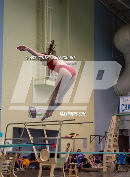 Thumbnail 2 in 3A Dive Championship photogallery.