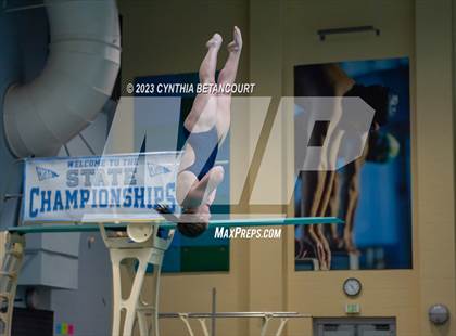 Thumbnail 1 in 3A Dive Championship photogallery.