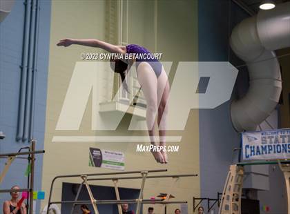 Thumbnail 2 in 3A Dive Championship photogallery.