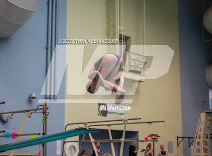 Thumbnail 2 in 3A Dive Championship photogallery.