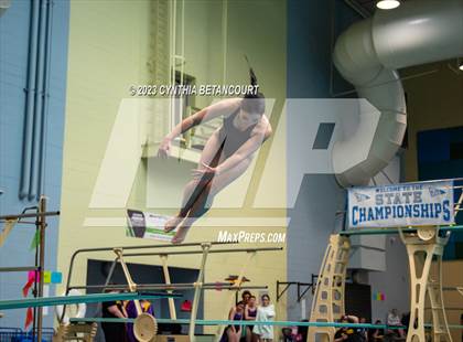 Thumbnail 1 in 3A Dive Championship photogallery.