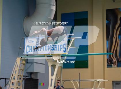 Thumbnail 3 in 3A Dive Championship photogallery.