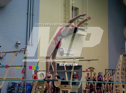 Thumbnail 2 in 3A Dive Championship photogallery.
