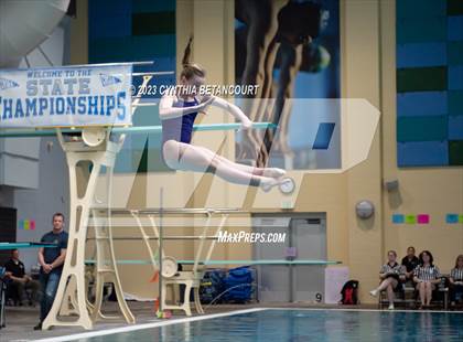 Thumbnail 2 in 3A Dive Championship photogallery.