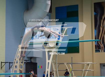 Thumbnail 1 in 3A Dive Championship photogallery.