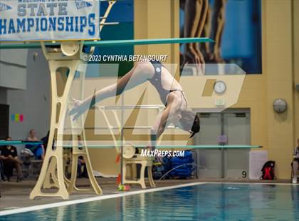 Thumbnail 1 in 3A Dive Championship photogallery.