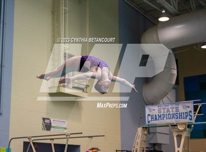 Thumbnail 3 in 3A Dive Championship photogallery.