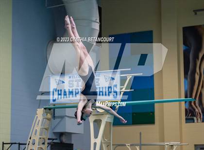 Thumbnail 2 in 3A Dive Championship photogallery.