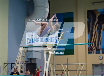 Thumbnail 2 in 3A Dive Championship photogallery.