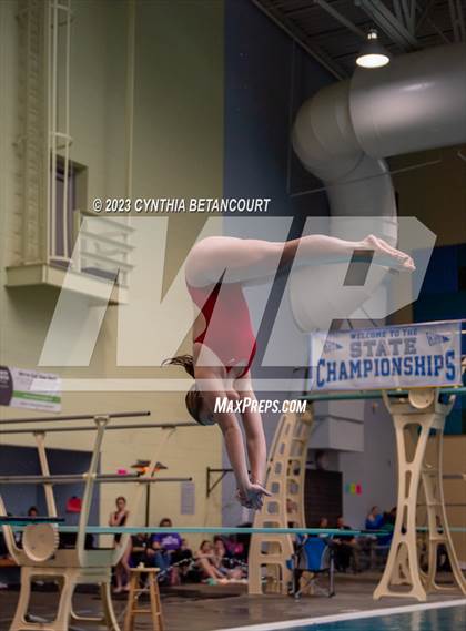Thumbnail 1 in 3A Dive Championship photogallery.