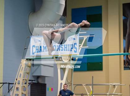 Thumbnail 3 in 3A Dive Championship photogallery.