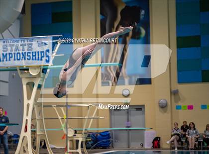 Thumbnail 3 in 3A Dive Championship photogallery.