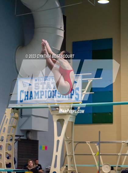 Thumbnail 3 in 3A Dive Championship photogallery.