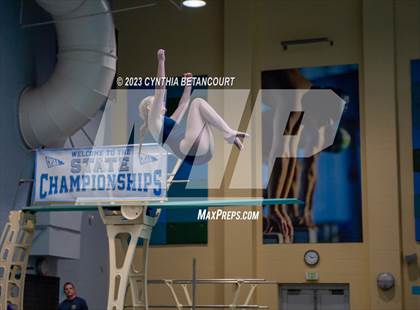 Thumbnail 3 in 3A Dive Championship photogallery.