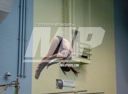 Thumbnail 3 in 3A Dive Championship photogallery.