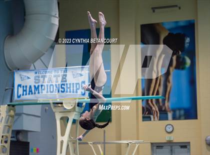 Thumbnail 3 in 3A Dive Championship photogallery.