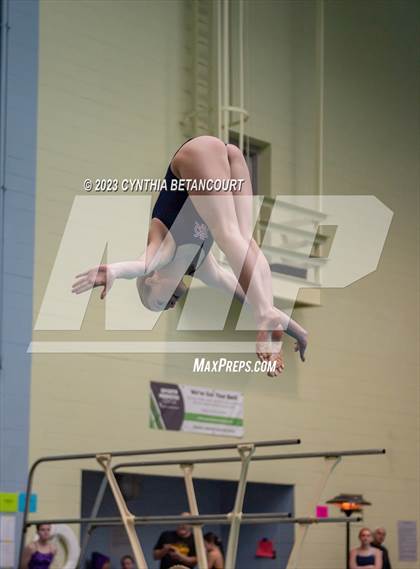 Thumbnail 2 in 3A Dive Championship photogallery.