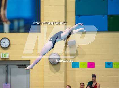 Thumbnail 1 in 3A Dive Championship photogallery.