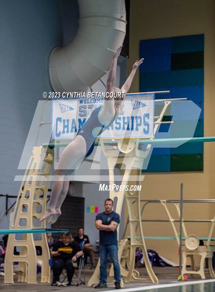 Thumbnail 1 in 3A Dive Championship photogallery.