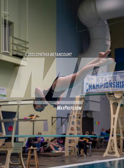 Thumbnail 1 in 3A Dive Championship photogallery.