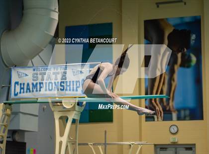 Thumbnail 2 in 3A Dive Championship photogallery.