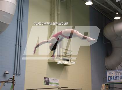 Thumbnail 3 in 3A Dive Championship photogallery.