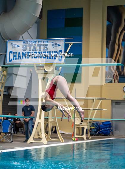 Thumbnail 2 in 3A Dive Championship photogallery.
