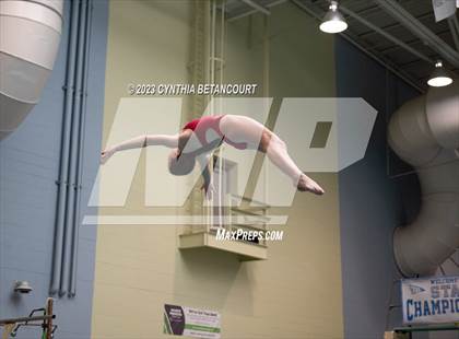 Thumbnail 2 in 3A Dive Championship photogallery.