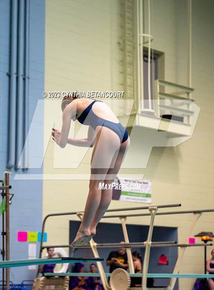 Thumbnail 3 in 3A Dive Championship photogallery.