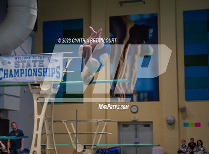 Thumbnail 2 in 3A Dive Championship photogallery.