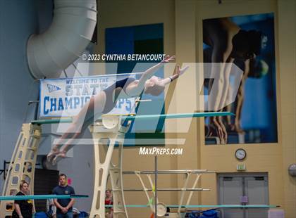 Thumbnail 3 in 3A Dive Championship photogallery.