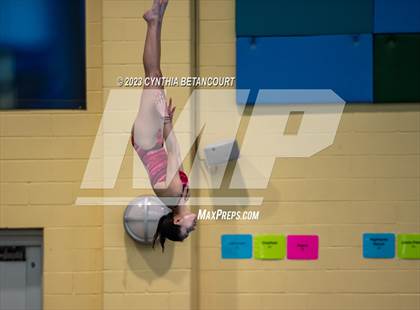 Thumbnail 1 in 3A Dive Championship photogallery.
