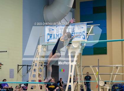 Thumbnail 1 in 3A Dive Championship photogallery.