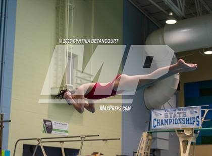 Thumbnail 1 in 3A Dive Championship photogallery.
