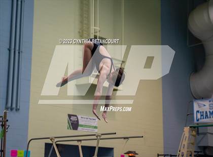 Thumbnail 1 in 3A Dive Championship photogallery.
