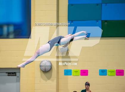 Thumbnail 2 in 3A Dive Championship photogallery.