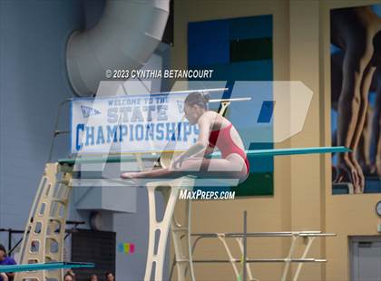 Thumbnail 1 in 3A Dive Championship photogallery.