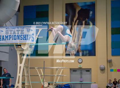 Thumbnail 3 in 3A Dive Championship photogallery.