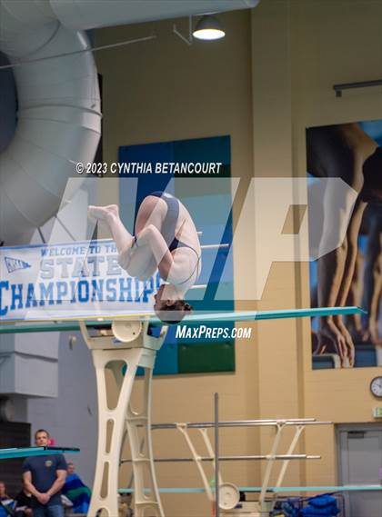 Thumbnail 3 in 3A Dive Championship photogallery.