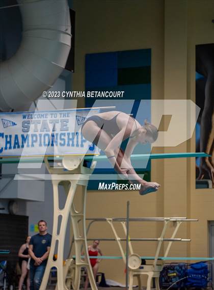 Thumbnail 2 in 3A Dive Championship photogallery.